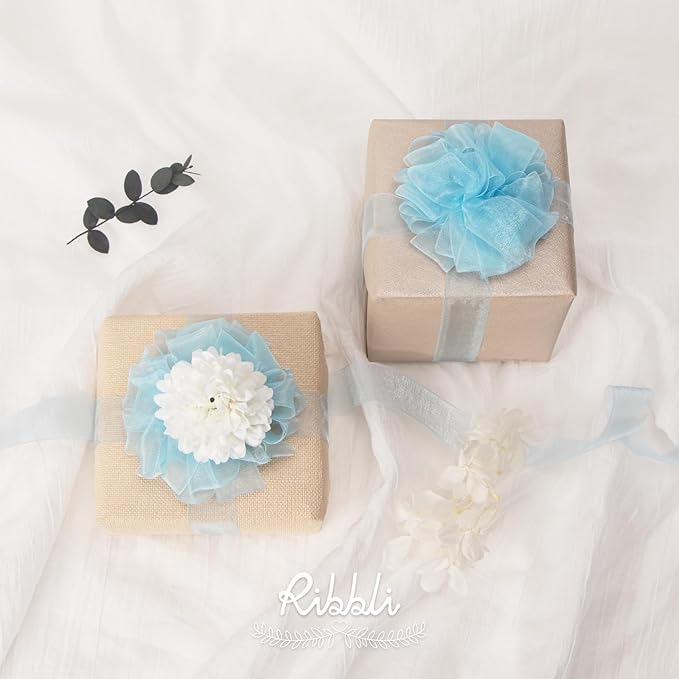 Ribbli Light Blue Organza Ribbon,1 Inches x Continuous 50 Yard,Light Blue Sheer Ribbon for Gift Wrapping,Cookie Wrapping,Wedding Decoration,All Crafting and Sewing