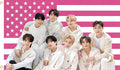Stray Kids Tapestry Pink American Flag Banner, Group Novelty Design, 3ft x 5ft by Xibesan