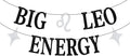 Big Leo Energy Banner, 12 Constellation Zodiac Birthday Party Decorations | Leo by Dejupgar