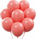 AFTERLOON® Biodegradable Natural Rubber Latex Balloons 24 pcs Decoral Pink 10 by AFTERLOON%C2%AE