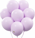 AFTERLOON® Biodegradable Natural Rubber Latex Balloons 24 pcs Pastel Purple 10 by AFTERLOON%C2%AE