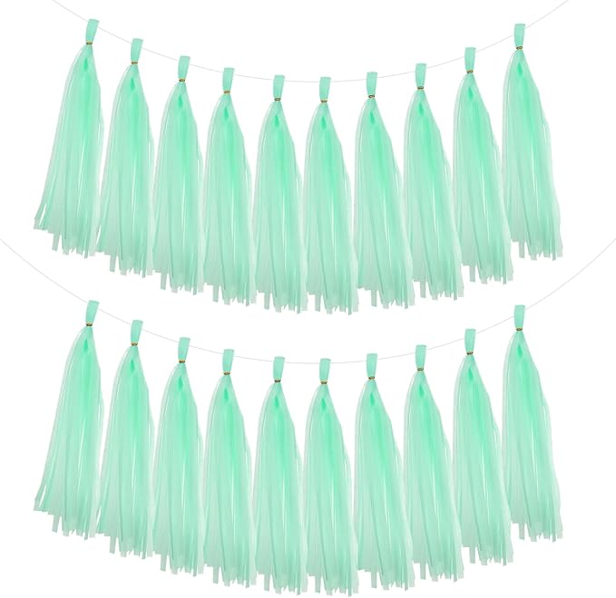 MECCANIXITY 20Pcs Tassel Garland Banner Tissue Paper by MECCANIXITY