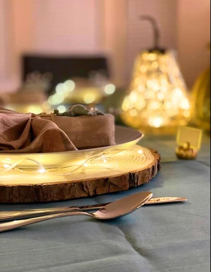 Set of 10 Large Wood Slices – Rustic Wooden Rounds - Image 5