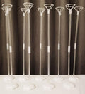 Clear Transparent Balloon Sticks and Stands 10pc set, reusable balloon sticks by lightsfever