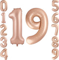 40 Inch Caramel Foil Number 19 Balloon by TNCDJKPA