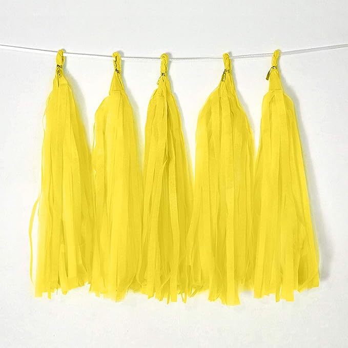 Bining Tissue Paper Tassel DIY Hanging paper decorations Party Garland Decor by Binpeng