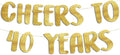 Pre-Strung Cheers to 40 Years Gold Glitter Banner by SterlingJamesCo