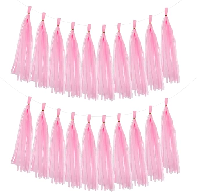 MECCANIXITY 20Pcs Tassel Garland Banner Tissue Paper by MECCANIXITY