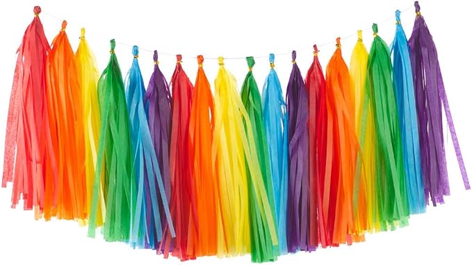 Rainbow Tissue Paper Tassels Colorful Party Tassel Garland Banner Decorations by YESON