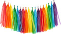 Rainbow Tissue Paper Tassels Colorful Party Tassel Garland Banner Decorations by YESON