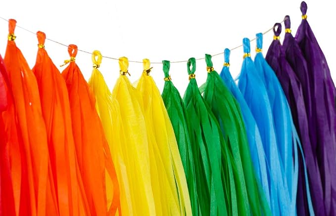 Rainbow Tissue Paper Tassels Colorful Party Tassel Garland Banner Decorations - Image 2