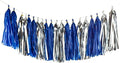 Shiny Tassel Garland Tissue Colorful Paper Tassel Banner, Tassels Party by AimtoHome