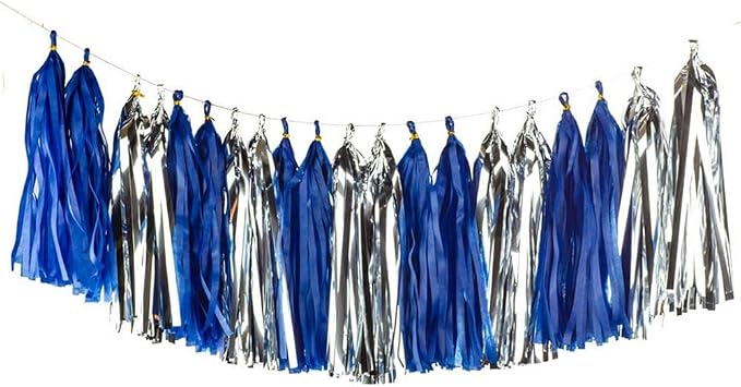 Shiny Tassel Garland Tissue Colorful Paper Tassel Banner, Tassels Party by AimtoHome