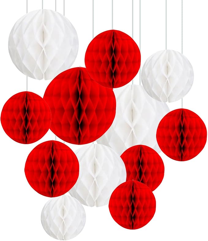 ZOOYOO 12Pcs 6" 10" Honeycomb Balls Decorations Hanging Tissue Paper Pom Poms by ZOOYOO