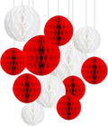 ZOOYOO 12Pcs 6" 10" Honeycomb Balls Decorations Hanging Tissue Paper Pom Poms by ZOOYOO
