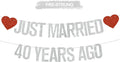 Silver Glitter Just Married 40 Years Ago Banner, NO DIY, Pre-Strung 40th by RICHHHA