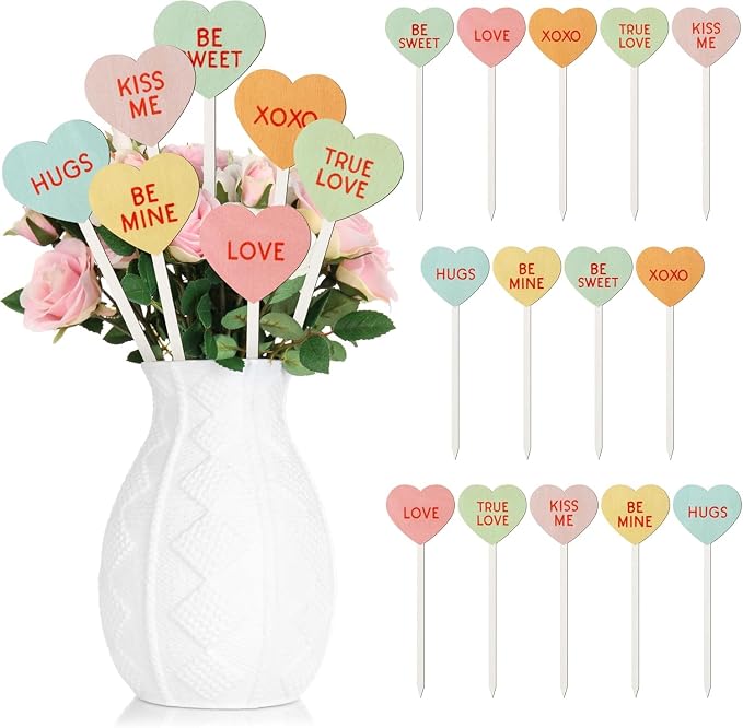 TICIAGA 14PCS Valentine’s Day Decorative Picks Cute Double-Sided Wooden Heart by TICIAGA