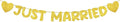 Pre Strung Just Married Banner Glitter Wedding Party Banner No DIY Just Married by Breling