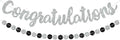 BEISHIDA Congratulations Banner Silver 2026 Graduation Banners, Grad Congrats by Beishida