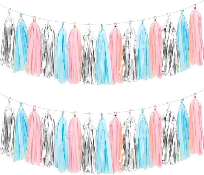 We Moment Gender Reveal Tissue Paper Tassel Banner by We+Moment