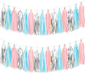 We Moment Gender Reveal Tissue Paper Tassel Banner by We+Moment