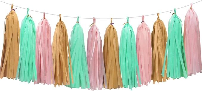 Gold Mint Pink Tassel Garland for Baby Shower Gender Reveal Decorations by Aonor