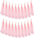 MECCANIXITY 20Pcs Tassel Garland Banner Tissue Paper by MECCANIXITY
