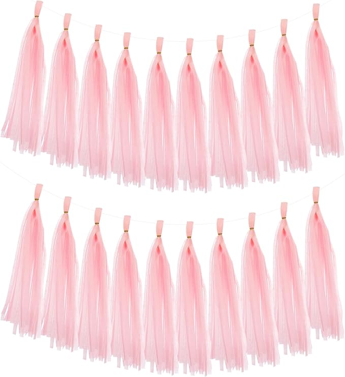 MECCANIXITY 20Pcs Tassel Garland Banner Tissue Paper by MECCANIXITY