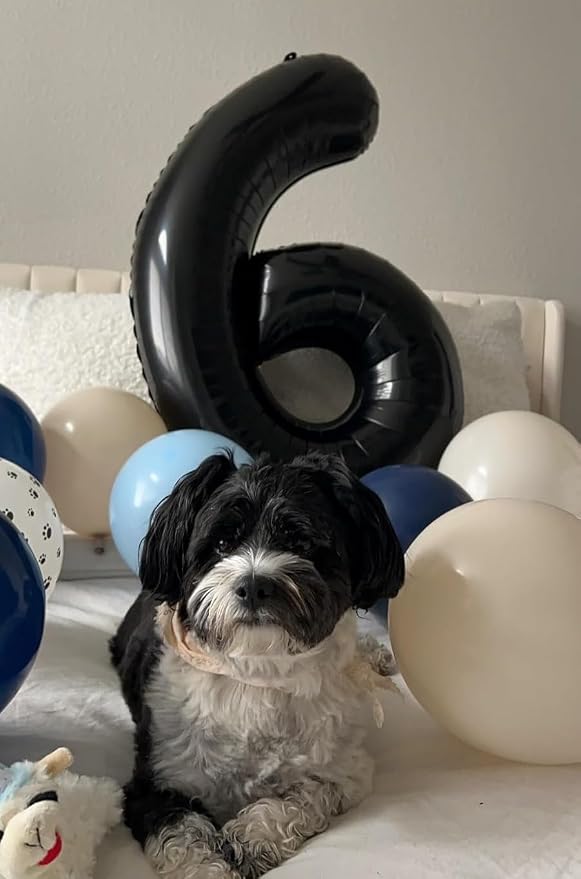 Numbers 15 Balloon 40Inch Black Balloons - Image 4