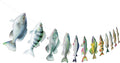 Hooqict Gone Fishing Hanging Banner Garland Fish Birthday Party Banner by Hooqict