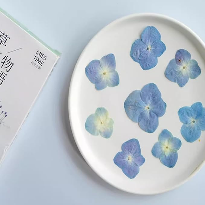 48 Pcs Dried Pressed Flowers for Resin DIY Art Crafts Natural Dry Hydrangea Floral Epoxy Jewelry Real Flower Decor Cakes Phone Cases Candles Handmade Soap Hydrangea