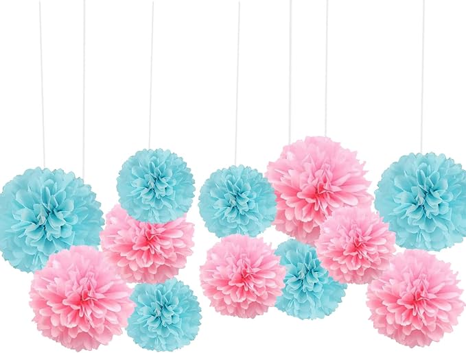 We Moment Tissue Paper Pom Poms Decorations - Image 2
