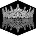 Fesciory Birthday Crown for Women, Adult Fit, Coming of Age Gifts & Halloween by Fesciory