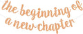 BEISHIDA Light Orange Pre-Strung The Beginning of A New Chapter Banner | Glitter by Beishida