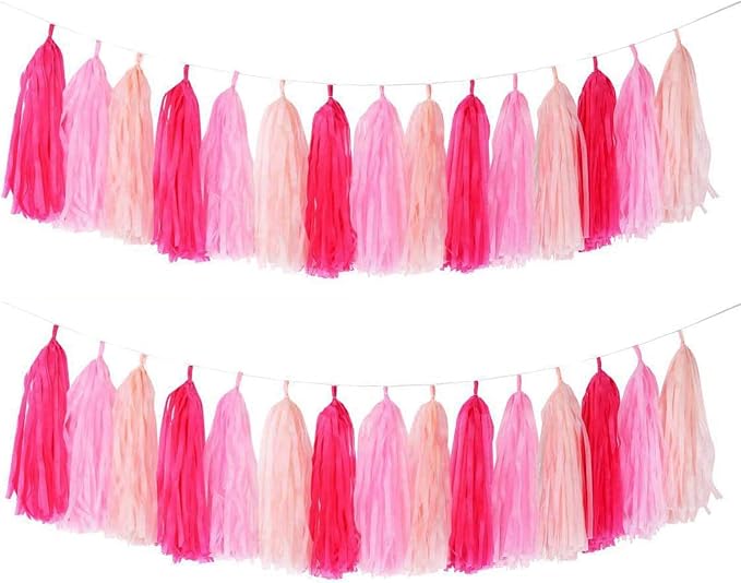 GAKA Hot Pink Light Pink Tissue Paper Tassels Garland Tassel Banner by GAKA