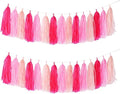 GAKA Hot Pink Light Pink Tissue Paper Tassels Garland Tassel Banner by GAKA