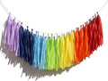 14in 21pcs Rainbow Paper Tassel DIY Hanging paper decorations Party Garland by Binpeng