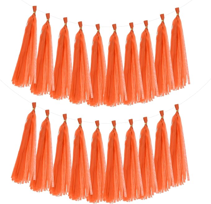 MECCANIXITY 20Pcs Tassel Garland Banner Tissue Paper by MECCANIXITY