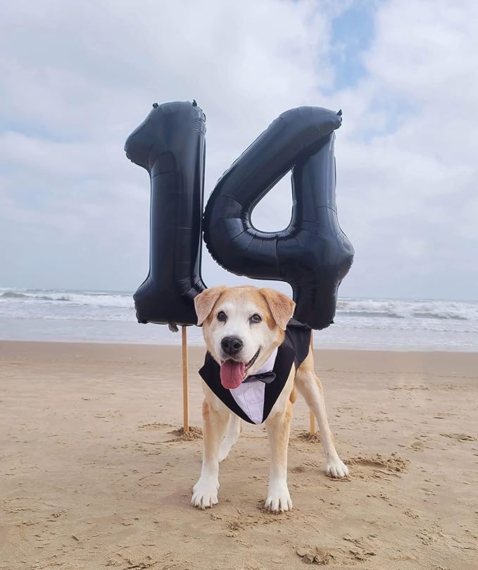 10 Balloon Numbers 40Inch for 10th Year Old Birthday Decorations, Inflation - Image 4