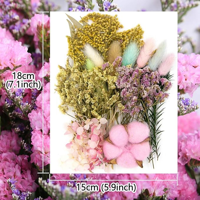 Vignee Real Dried Pressed Leaf Flowers-Multiple Colorful Pressed Flowers Daisies for Craft Resin Jewelry Making Art Craft DIY and Soap Candle Scrapbooking DIY Resin（Pink）