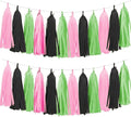 Tissue Paper Tassel Garland Banner, 15 Pack, Party Decorations by AimtoHome