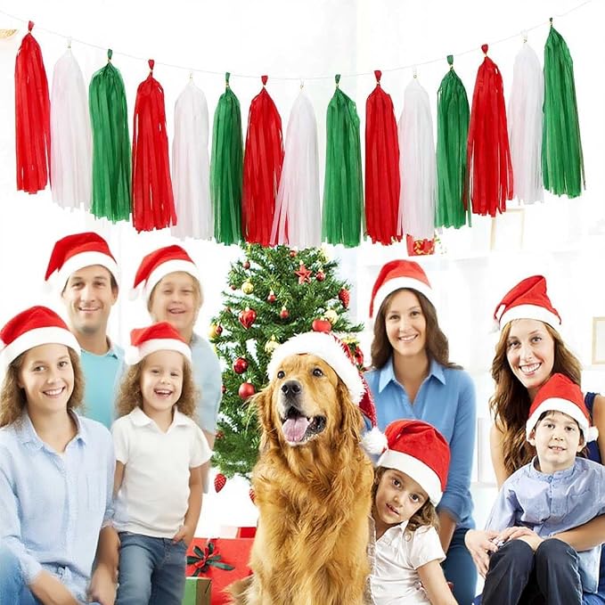 Red White Green Christmas Tissue Paper Tassel Garland Holiday Banner DIY - Image 6