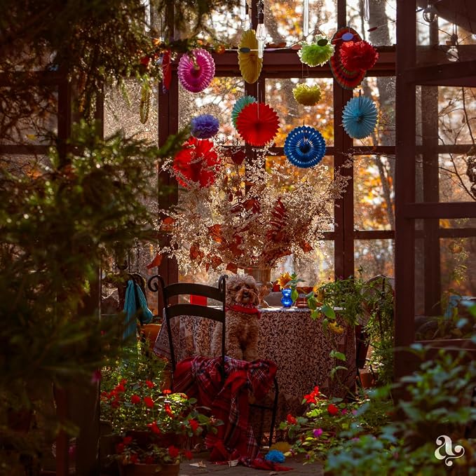 Mexican Fiesta Party Decorations - Image 6
