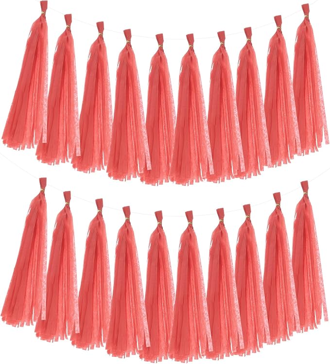 MECCANIXITY 20Pcs Tassel Garland Banner Tissue Paper by MECCANIXITY