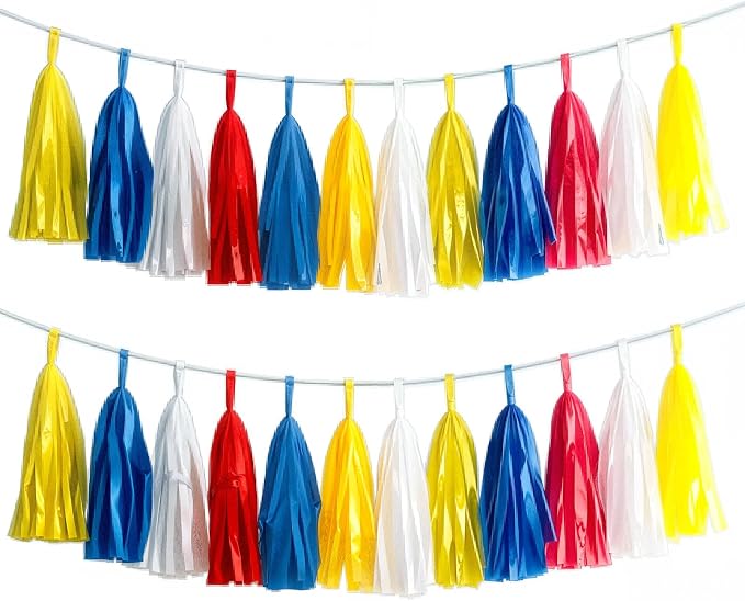 Tissue Paper Tassel Garland Banner, 20 Pack, Party Decorations by AimtoHome