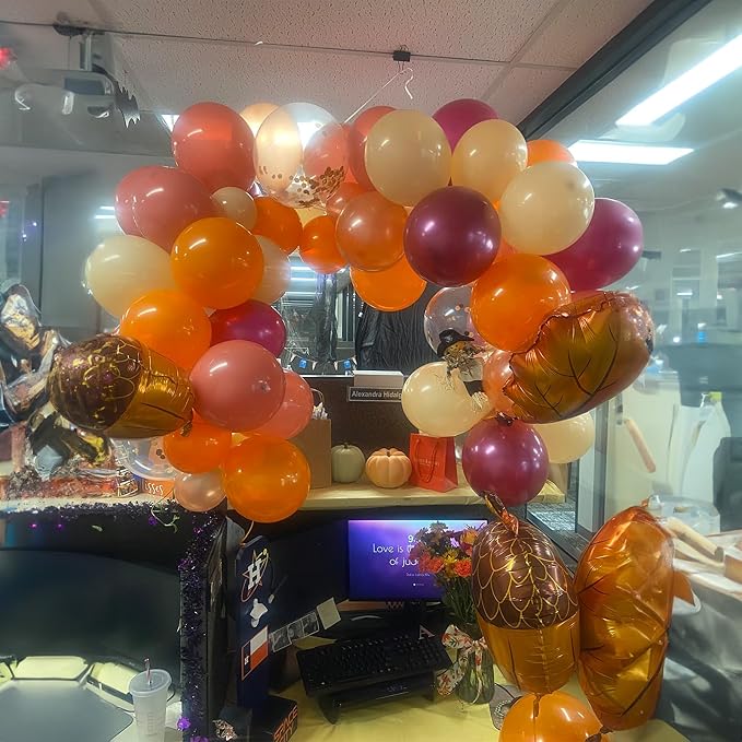 Fall Balloon Arch Kit, Autumn Birthday Party Decor Terracotta Orange Dusty Pink - Image 6
