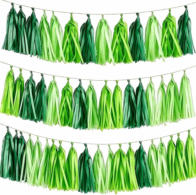 Green Gradient Tissue Paper Tassels 30pcs, Adding Festive Whimsy to Any by Unknown
