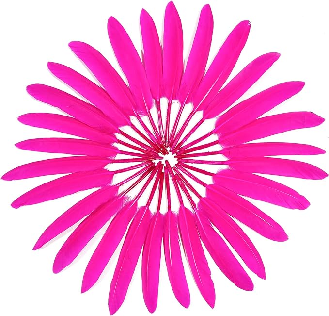 FeelfunFeather 120pcs Hot Pink Goose Cochettes Feather Natural Bulk 4-6 inch 10-15cm for Wedding Party Christmas Decorations DIY Crafts Goose Cochettes Feather