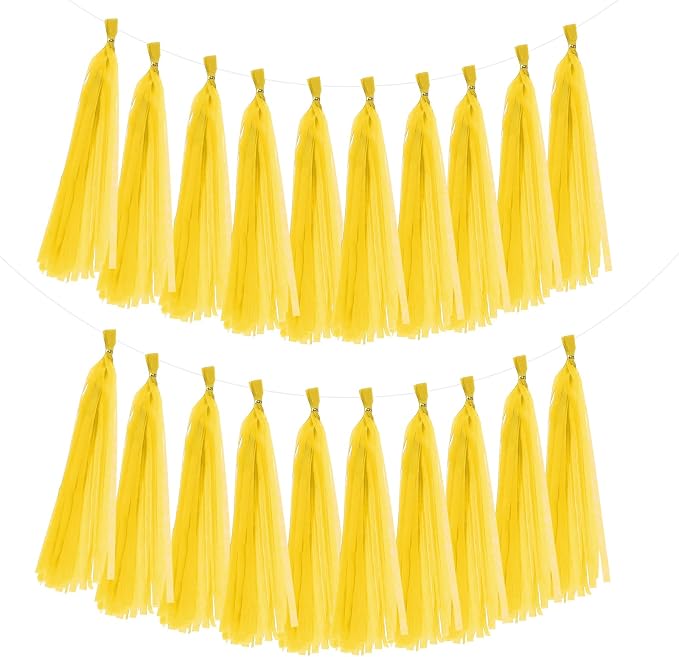 MECCANIXITY 20Pcs Tassel Garland Banner Tissue Paper by MECCANIXITY