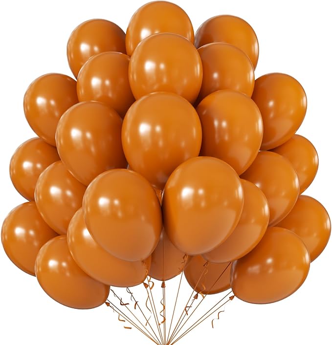 10 Inch Burnt Orange Balloons by KALOR